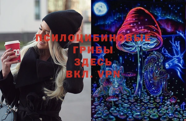 прущий лед Касимов