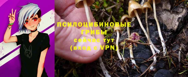 прущий лед Касимов